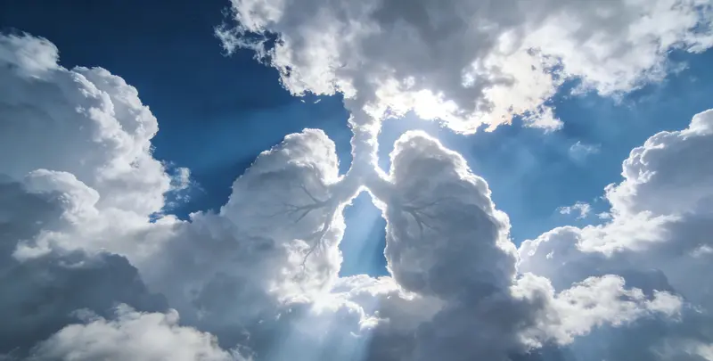 惠州肺癌12基因ctDNA突变检测(血液）图片1