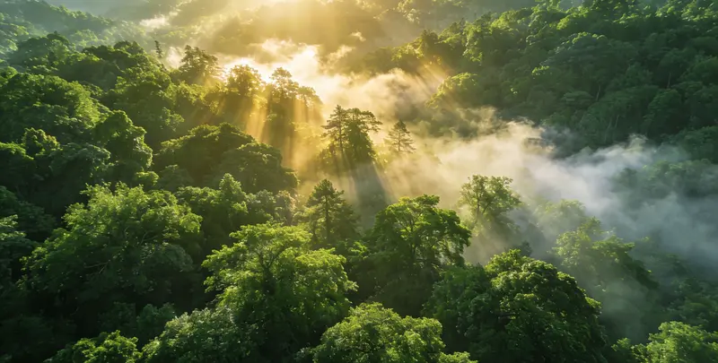 惠州肺癌68基因检测图片1