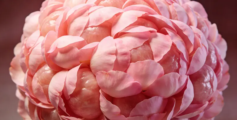 惠州BRCA1/2乳腺癌卵巢癌基因检测图片1