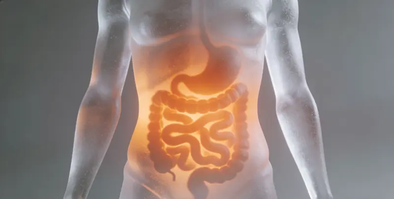 惠州胃癌分子分型基因检测项目（组织）图片1